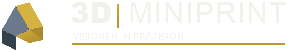 3D MiniPrint, Visionen in Präzision